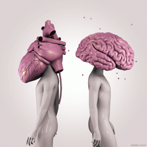 brain heart.gif