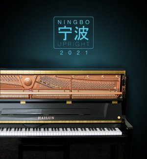 Ningbo 2021 Image small.jpg
