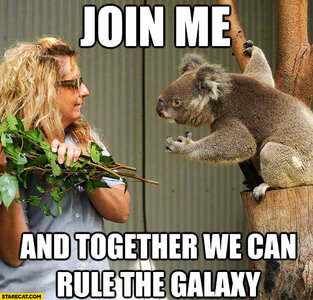 join-me-and-together-we-can-rule-the-galaxy-koala.jpg